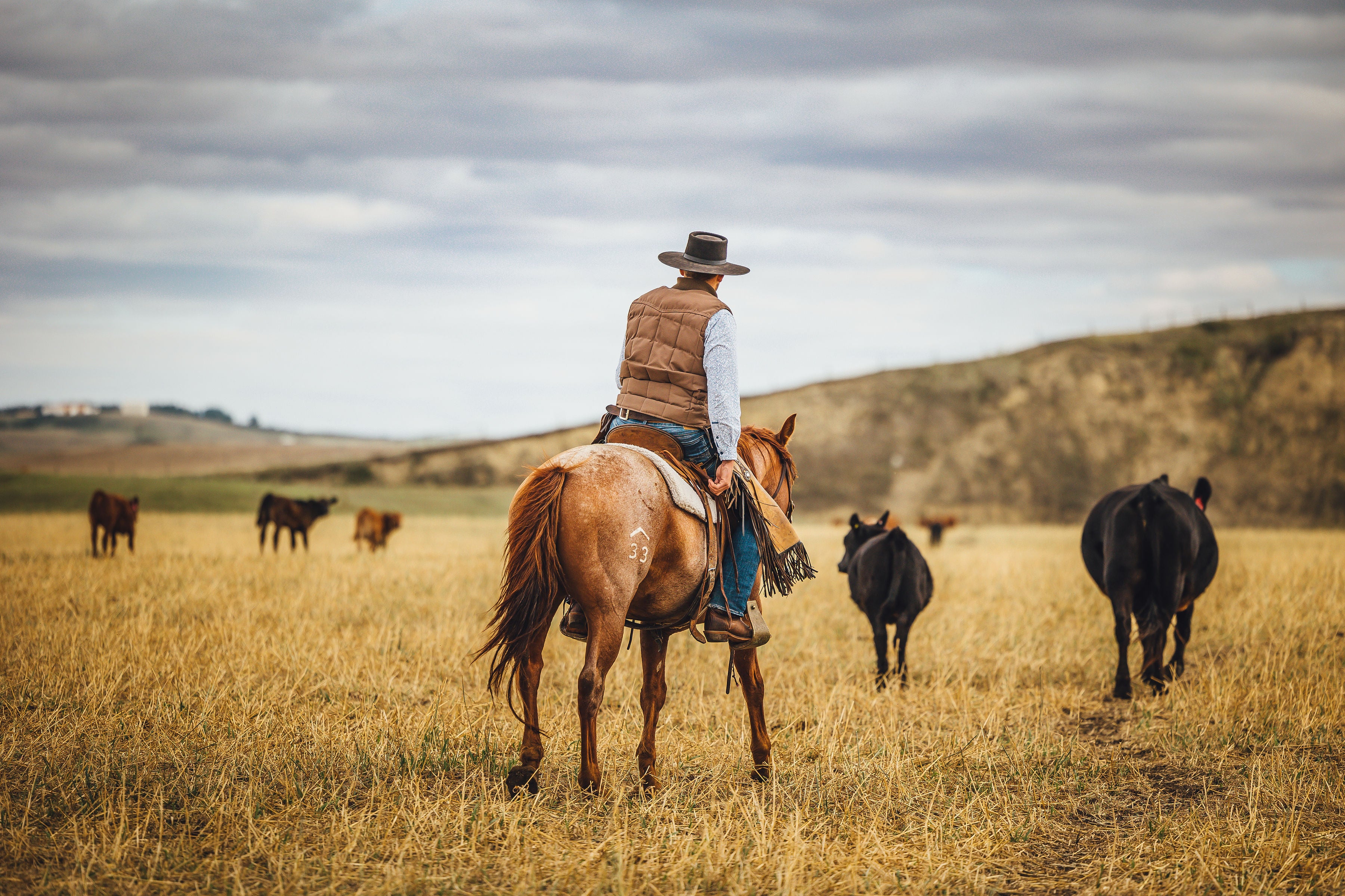 Welcome to our website, from our arm to your table, get pasture raised beef, free run eggs, free range chickens, organic microgreens, etc. view our online store and shop quality food
