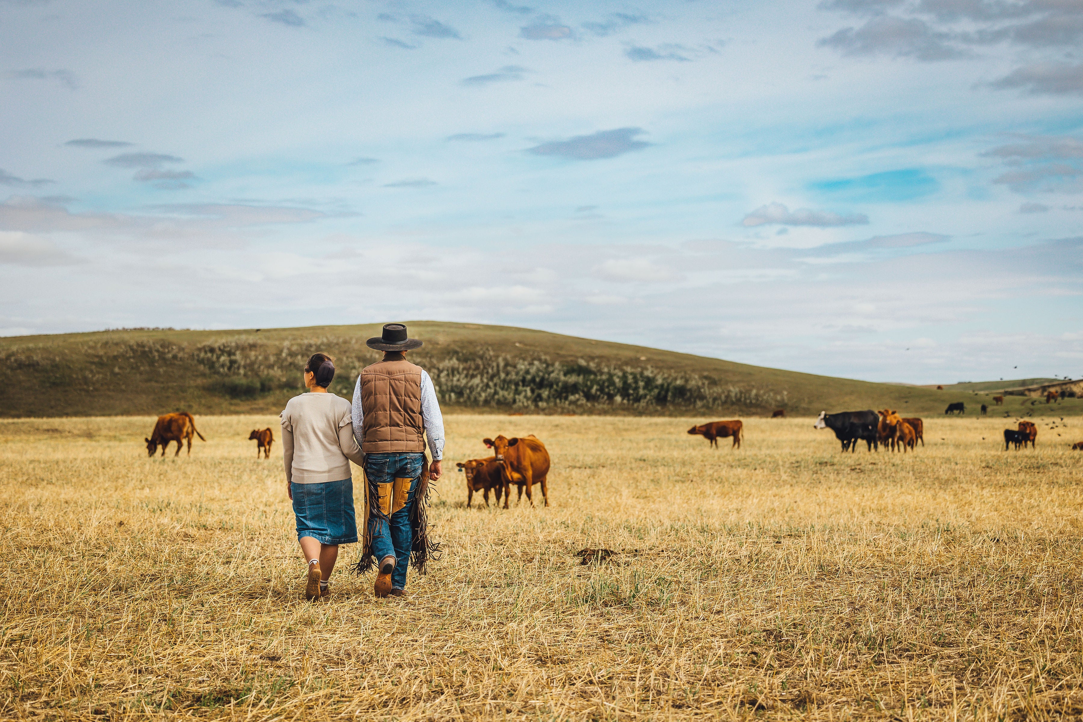 Route 304 cattle co, was a dream of ours, to provide sustainable meats to our community through regenerative and sustainable agricultural practices. Our focus is to provide food that is nourishing and healing that's why we do not use any hormones or unnecessary antibiotics.