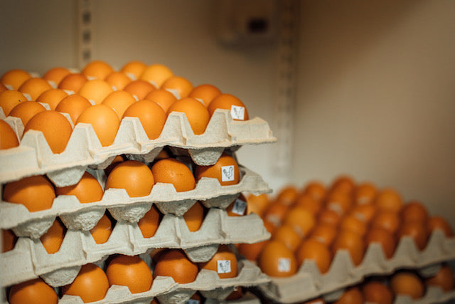 Eggs- Free Run Brown Eggs