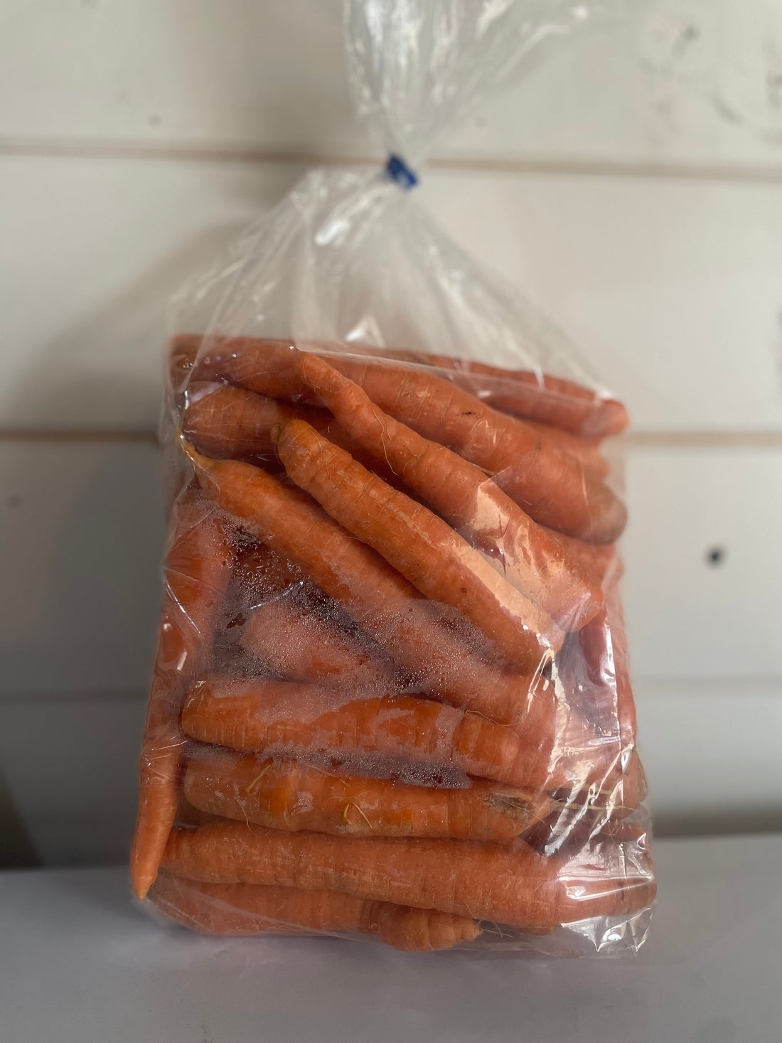 Fresh garden carrots