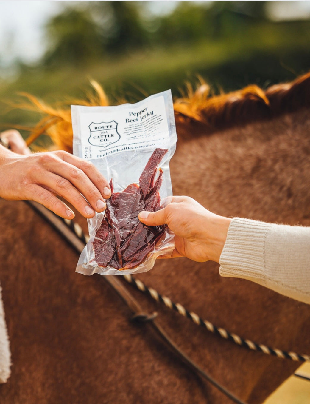 Beef Jerky- 3 Flavor Options!