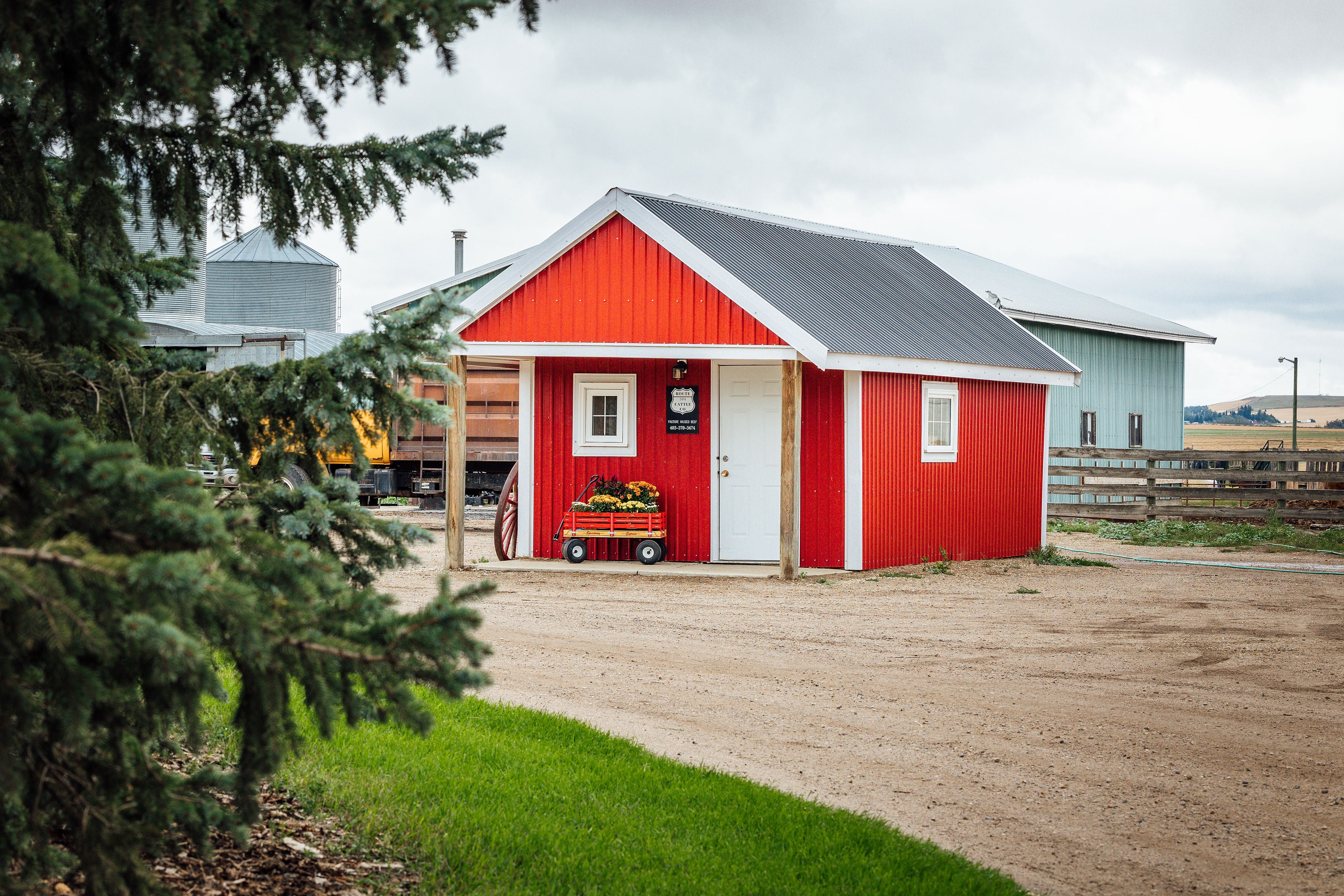 Self serve store front located in Linden, Ab. pasture raised beef, beef cuts, free run eggs, free range chickens, freshly milled flour every Thursday, buy pasture raised beef locally